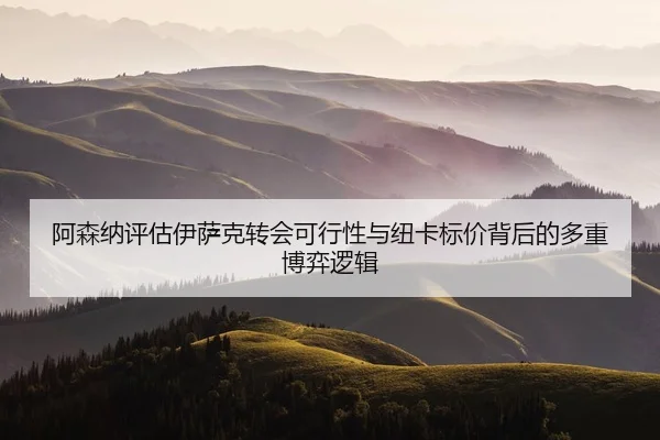 阿森纳评估伊萨克转会可行性与纽卡标价背后的多重博弈逻辑
