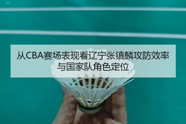 从CBA赛场表现看辽宁张镇麟攻防效率与国家队角色定位
